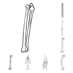 Vector illustration of medicine and clinic logo. Collection of medicine and medical stock vector illustration.