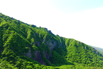 제주에 있는 한라산의 풍경이다.