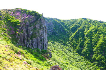 제주에 있는 한라산의 풍경이다.
