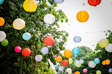 Fototapeta na wymiar Colourful Paper Lantern hanging with trees and sky in the background.