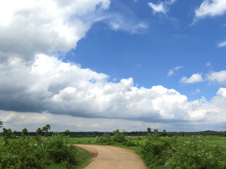 very beautiful landscape in Rainy season