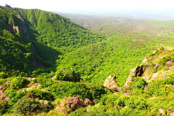 제주에 있는 한라산의 풍경이다