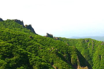 제주에 있는 한라산의 풍경이다