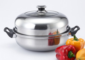 stainless steel steamer