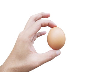Fototapeta na wymiar Hand holding egg isolated on white background.