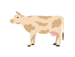 Vector cartoon cow - spotted farm, village animal