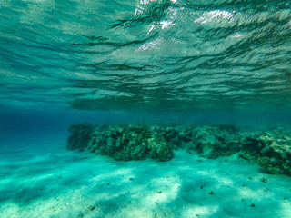 Underwater background of Red Sea and free space for your decoration. 
