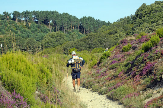 St James walk , camino de Santiago de Compostela, pilgrims and pilgrimage