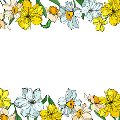 Vector Narcissus floral botanical flowers. Black and white engraved ink art. Frame border ornament square.