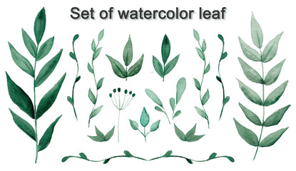 Set of green watercolor leaves on white background