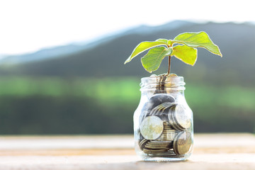 Website banner of golden coins in a glass jar with plant at sunset background