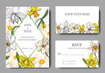 Vector Narcissus floral botanical flowers. Black and white engraved ink art. Wedding background card decorative border.