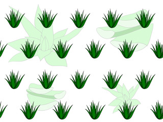 Seamless pattern with tropical, succulent plants, aloe vera. Floral vector illustration on a white background.