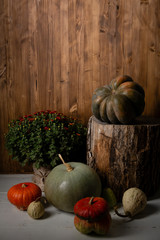Pumpkin set on rustic wooden background