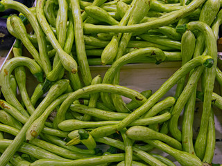 Genua/ Italien: Schlangenzucchini Serpente di Sicilia auf einem Markt