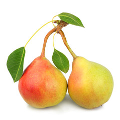 Pears isolated on white background