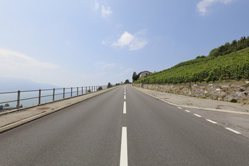 Street under wine grapes in summer