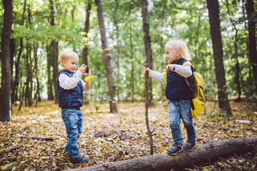 Children preschoolers Caucasian brother and sister take pictures of each other on mobile phone camera in forest park autumn. theme of hobby and active lifestyle for child. Profession photographer