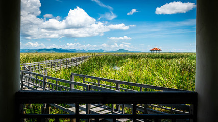 Fototapeta premium Wooden bridge over a lake with blue sky in Sam Roi Yod National Park, Prachuap Khiri Khan, Thailand