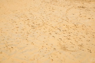 La Concha Beach in Spain