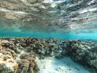 Underwater background and free space for your decoration. 