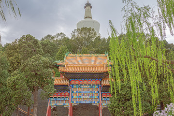 Standing in front of the White Pagoda on Qionghua Island in Beihai Park in Beijing