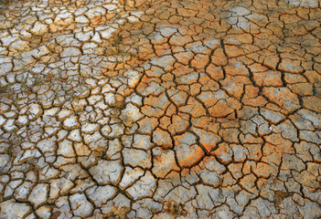 Dried out seasonal marshland