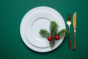 Fir tree twig on white set of dishes isolated, green background