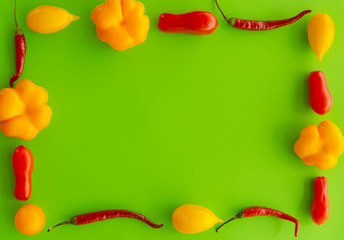 Decorative frame with fresh vegetables isolated on the green background. Healthy food flat lay. Paprika pepper, tomatoes, chilli. Banner template with copy space. The harvest, top view. Eco products.