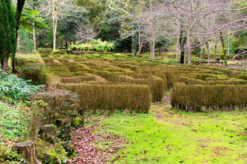 Maze in a Garden - Azores