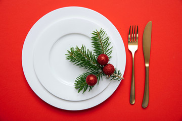 Fir tree twig on white set of dishes isolated, red background