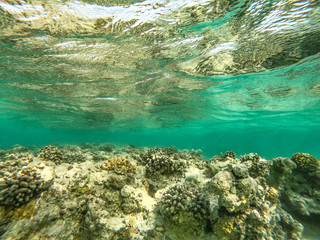 Underwater background and free space for your decoration. 
