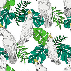Vector Sky bird cockatoo in a wildlife. Black and white engraved ink art. Seamless background pattern. © LIGHTFIELD STUDIOS