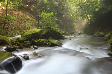 渓流