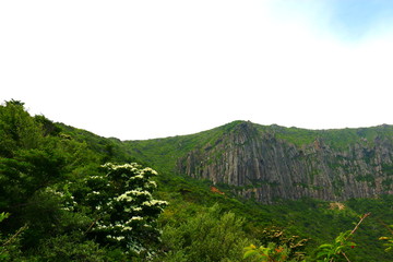 제주에 있는 한라산의 풍경이다