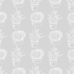 floral seamless pattern cactus in a flower pot