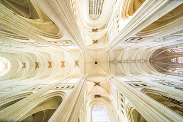 Nantes Cathedral Saint-Pierre and Saint-Paul High Ceiling, Columns and Stained-Glass Windows