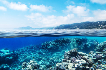 Underwater background of ocean 