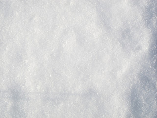 Snow in the winter in the forest