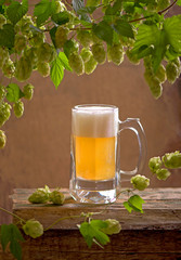 still life with hop cones and glass of beer