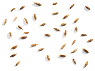 Cumin seeds (Cuminum), jeera on a white background. Macro photo
