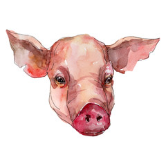 Pig head farm animal isolated. Watercolor background illustration set. Isolated pig illustration element.