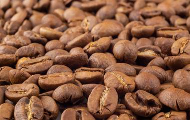 Roasted beans of natural coffee, background