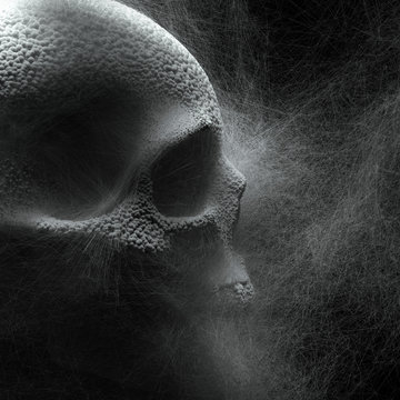  3d render of a creepy dark gray skull turned sideways with a hollow socket of one large eye, small nose and little teeth