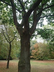 Natur. Hannover. Park.