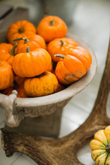 Orange pumpkins on antlers and a yellow rose. The mood and colors of autumn. Scenery for the wedding. A store window of a floral flower shop.