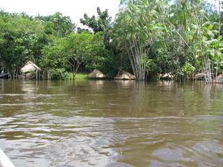 Boat ride at Una river, between amazon rain forest and atlantic forest
