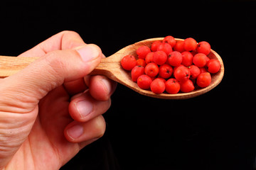 Rowan in spoon on black background