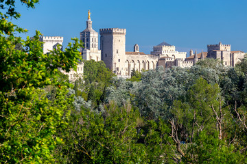 Obraz premium Avignon. Provence. The famous papal palace on a sunny day.