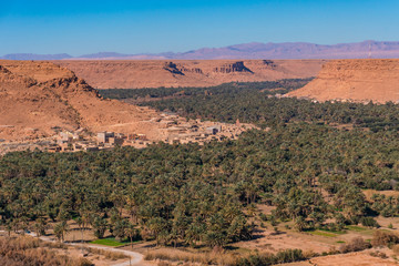 Huge palm grove in Ziz valley, Morocco. Aerial view